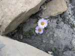 Foto serie Karma Gurung
